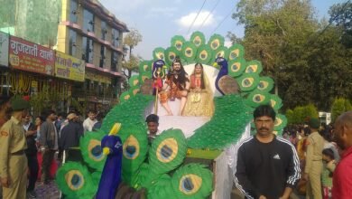 Photo of पचमढ़ी उत्सव का हुआ आगाज कार्निवाल से हुई शुरुआत