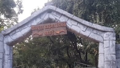 Photo of एसटीआर के वागरा बफर के परसापानी क्षेत्र में मिला अज्ञात व्यक्ति का शव, पुलिस जुटी जांच में
