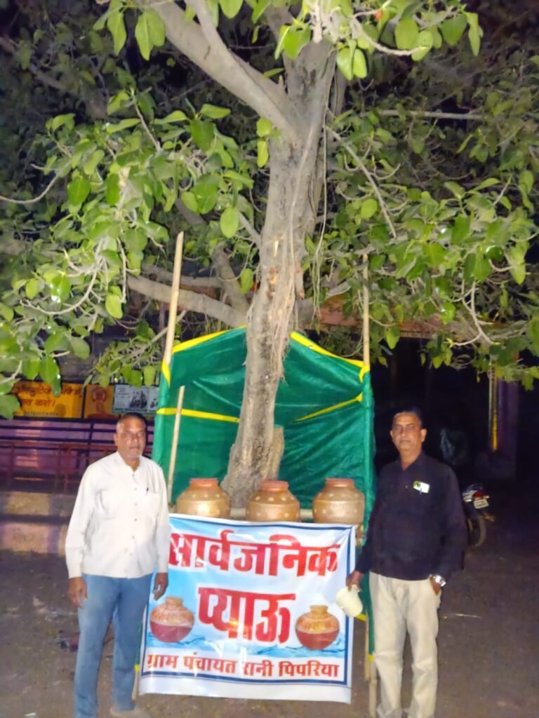 गर्मी आने से पहले तैयारी: रानी पिपरिया में पंचायत ने शुरू किया सार्वजनिक प्याऊ