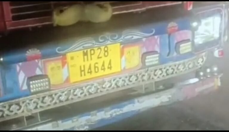 स्टेट बैंक के पास ट्रक की टक्कर से युवक की दर्दनाक मौत