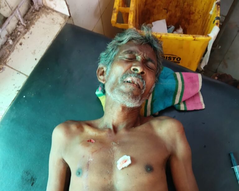 जंगल क्षेत्र के ग्राम छातेर में बुजुर्ग पर जंगली प्राणी का हमला, कुल्हाड़ी और शोर मचाकर बचाई जान